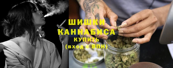 молекула духа Богородицк