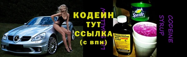 молекула духа Богородицк