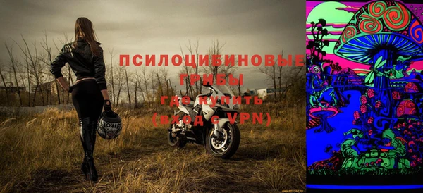 СК Бородино