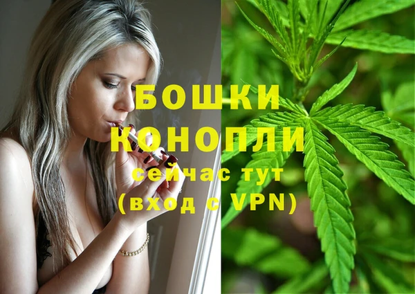 МДПВ Богданович