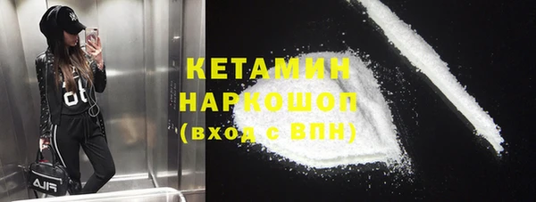 молекула духа Богородицк