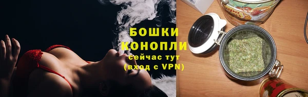 СК Бородино