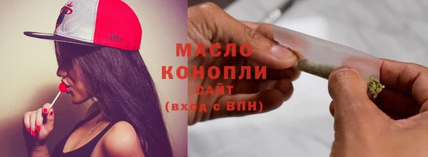 молекула духа Богородицк