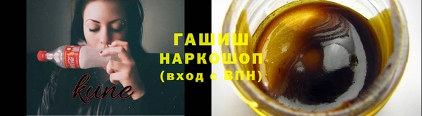 молекула духа Богородицк