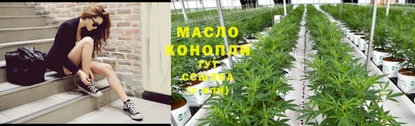 молекула духа Богородицк