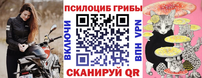 Псилоцибиновые грибы прущие грибы  где купить наркоту  Каменск-Уральский 